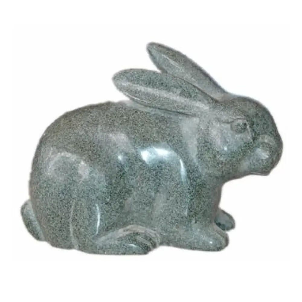 Hase