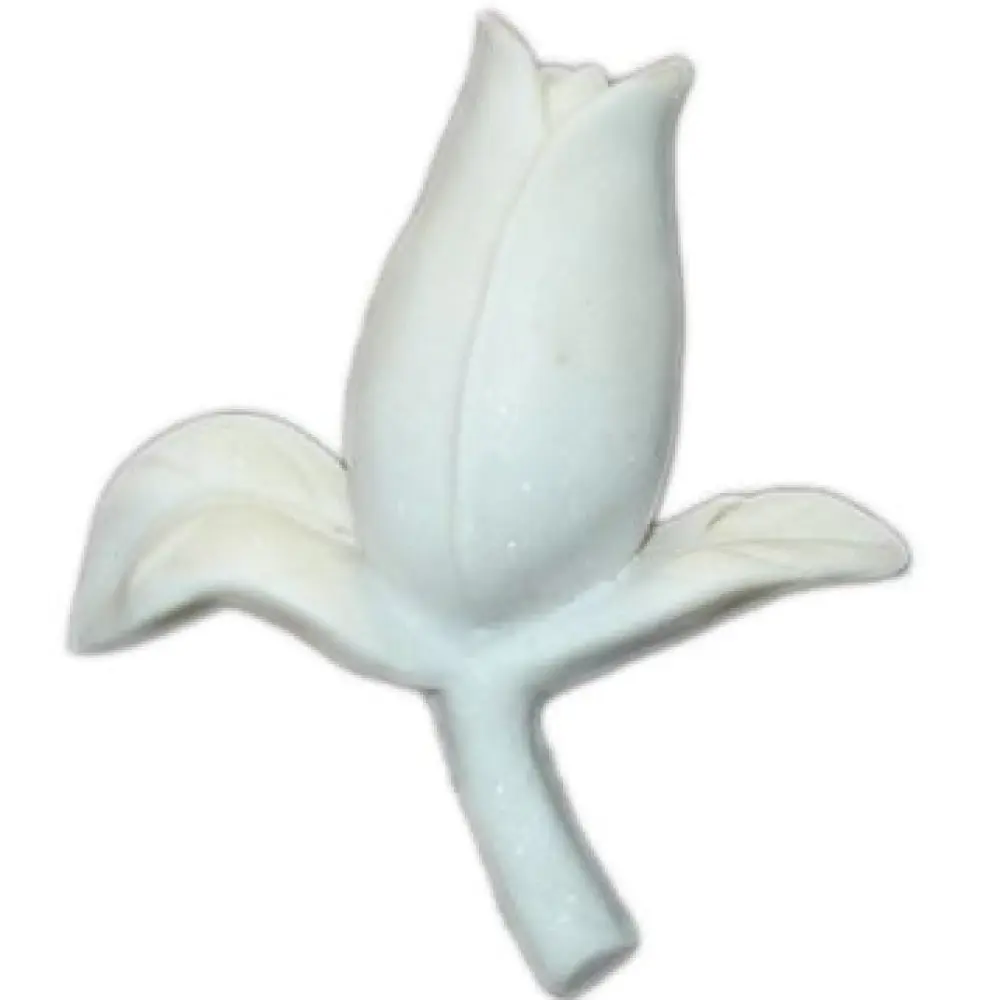 Knospe