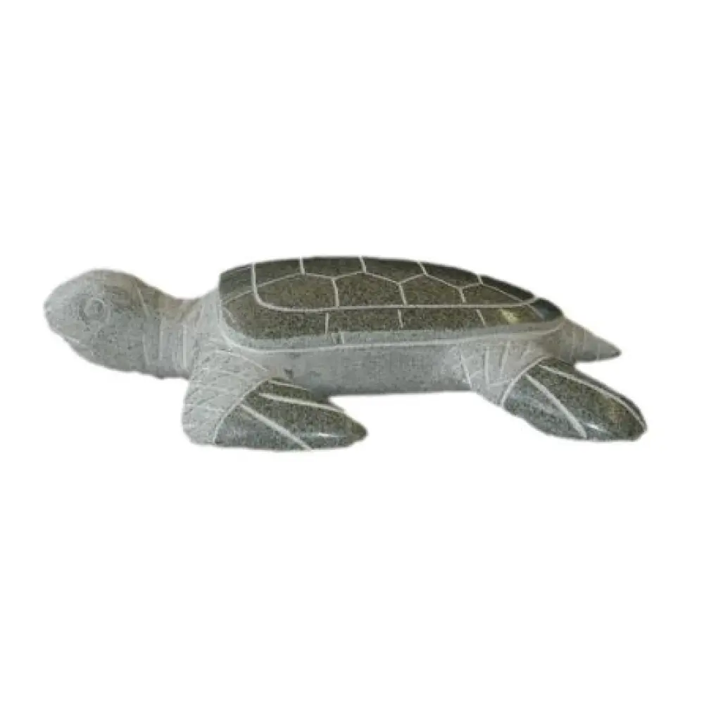 Schildkröte
