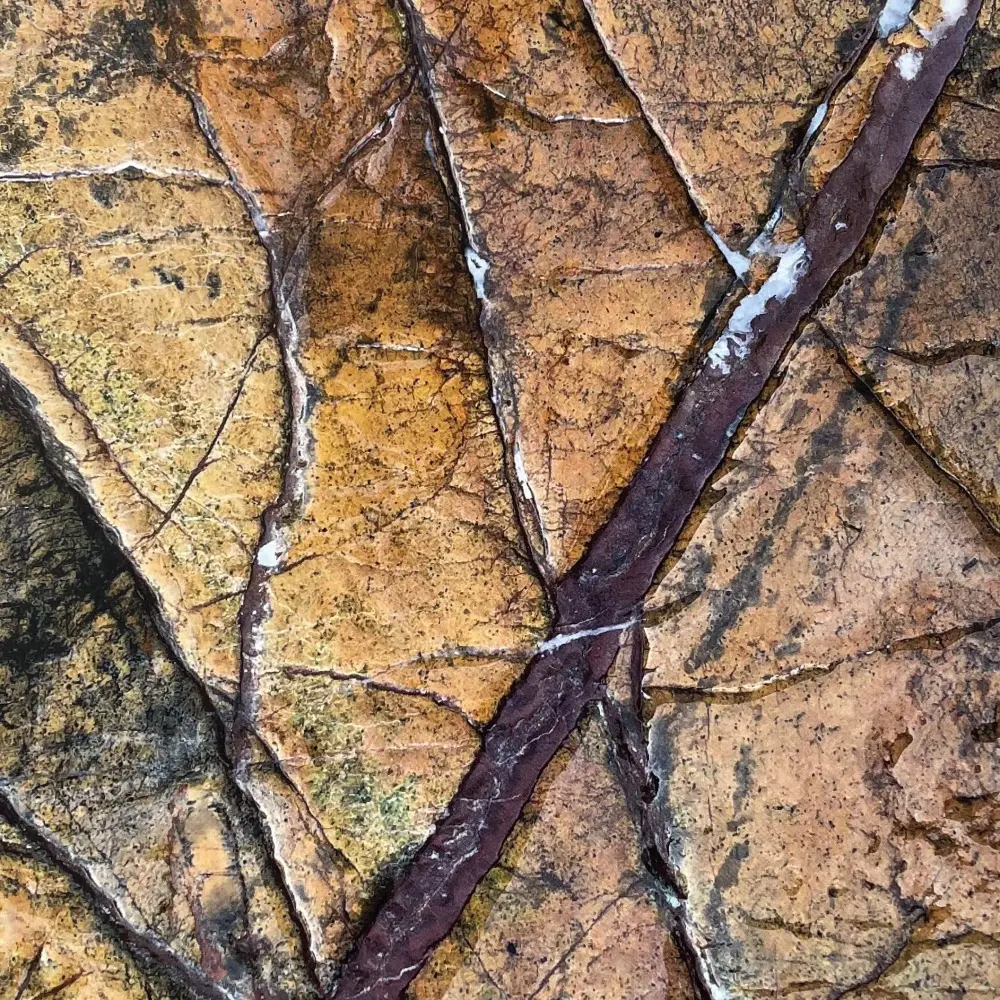 Regenwald Gelb Naturstein