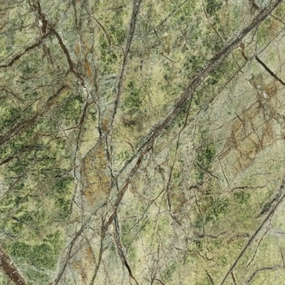 Regenwald Grün
